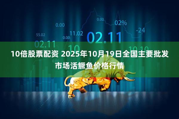 10倍股票配资 2025年10月19日全国主要批发市场活鳜鱼价格行情